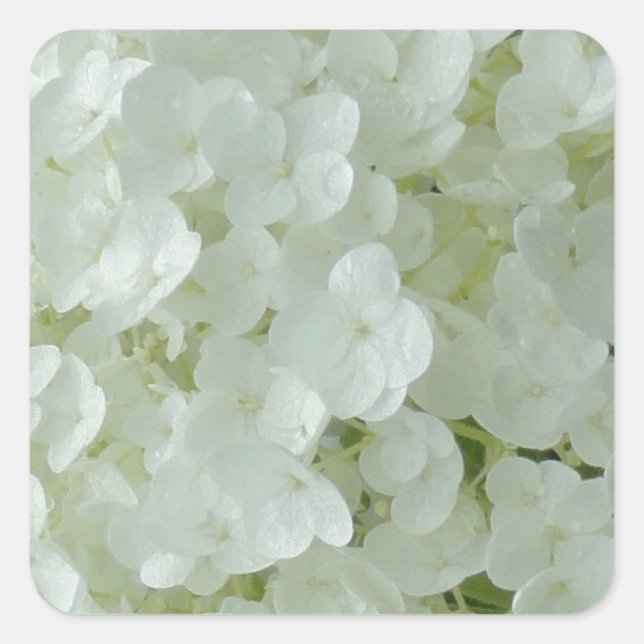 White Hydrangea Petals Square Sticker (Front)
