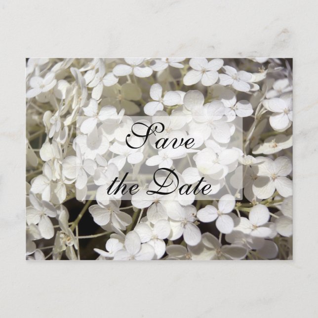 White Hydrangea Save the Date Announcement (Front)
