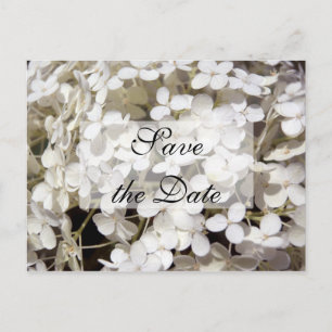 White Hydrangea Save the Date Announcement Postcard