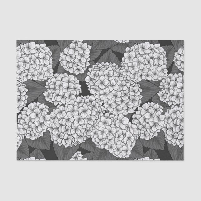 White hydrangea tissue paper (Front)