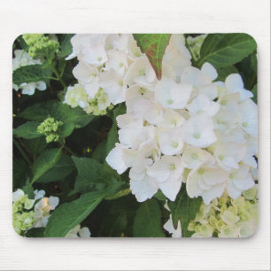 White Hydrangeas Mouse Pad