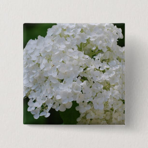 White Hydrangeas Pin