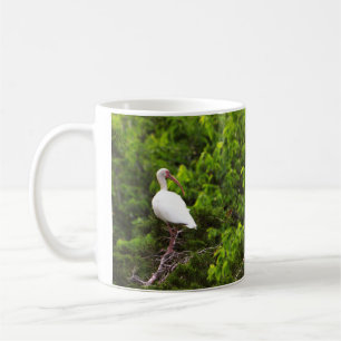 White Ibis Bird Photo Mug