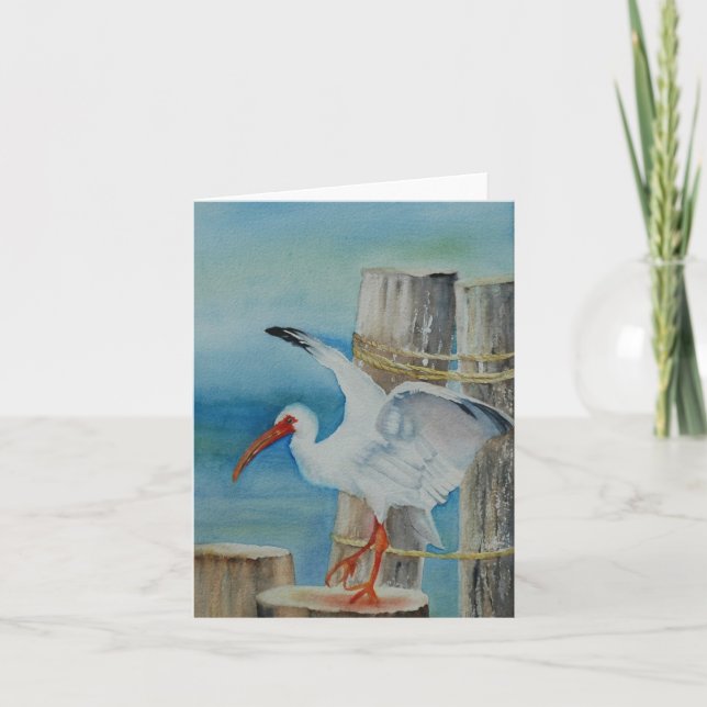 White Ibis by Peggy Allen Card (Front)