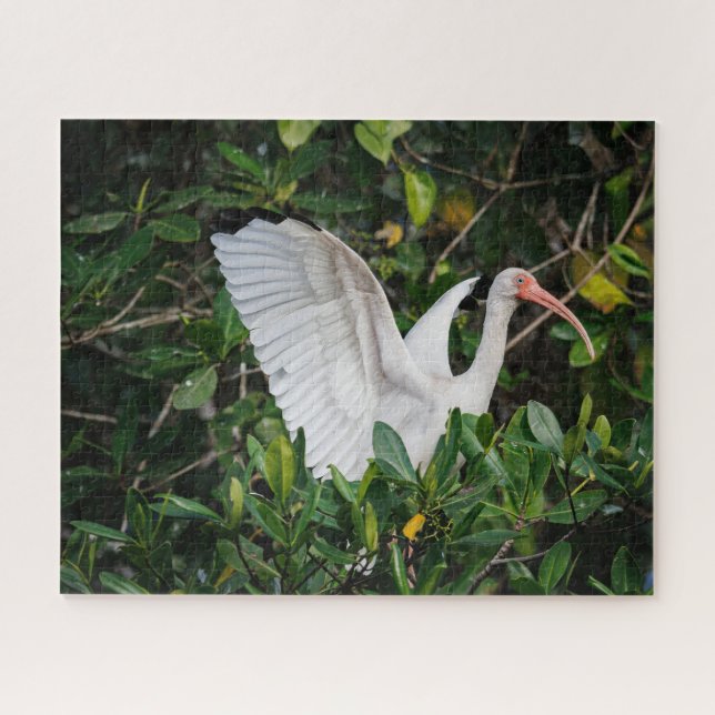 White Ibis Jigsaw Puzzle (Horizontal)