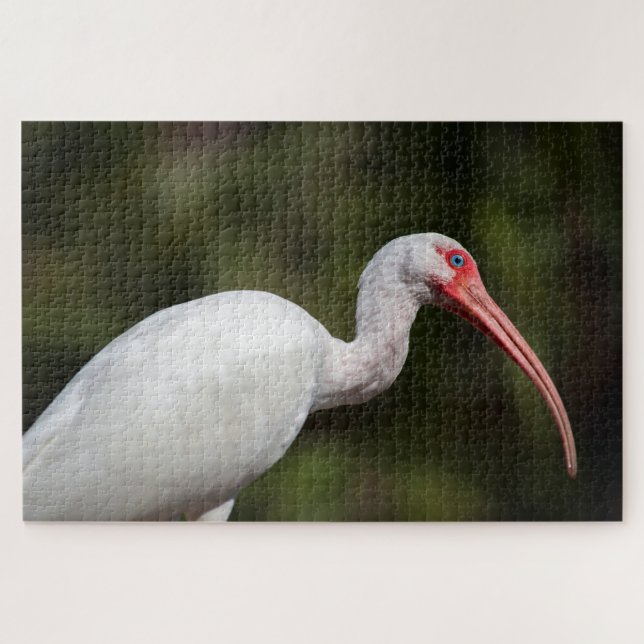 White Ibis Jigsaw Puzzle (Horizontal)