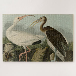 White Ibis - John James Audubon's Birds of America Jigsaw Puzzle