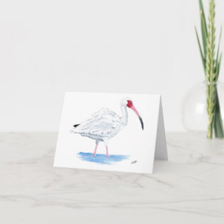 White Ibis Note Card