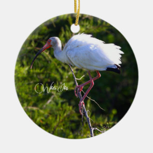 White Ibis Ornament