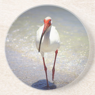 White Ibis Strut Coaster