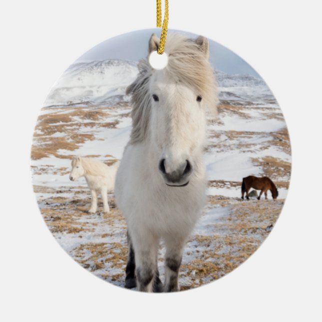 White Icelandic Horse, Iceland Ceramic Ornament (Front)