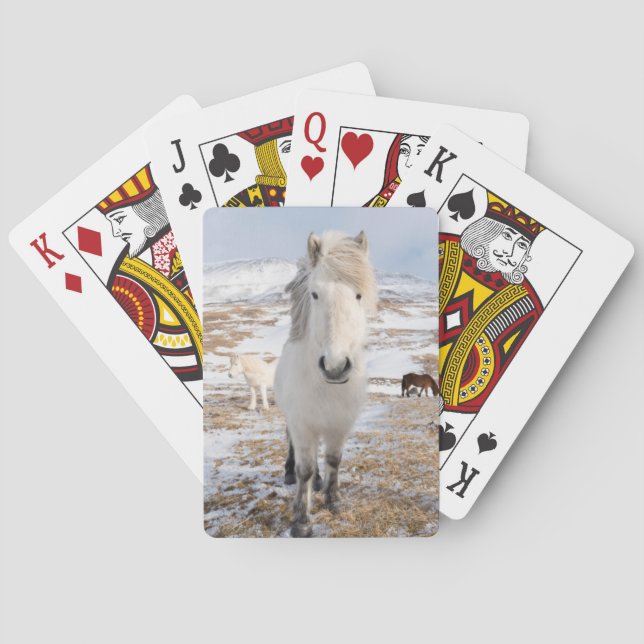 White Icelandic Horse, Iceland Playing Cards (Back)