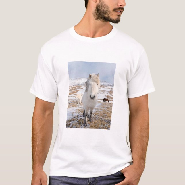 White Icelandic Horse, Iceland T-Shirt (Front)