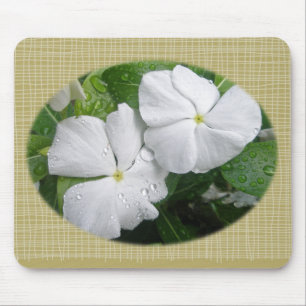 White Impatiens Flowers Mouse Pad