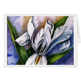 White Iris 2 by Barbara Beck-Azar