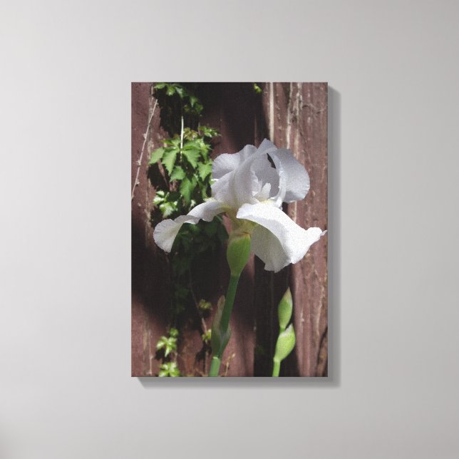 White Iris Designer Print (Front)