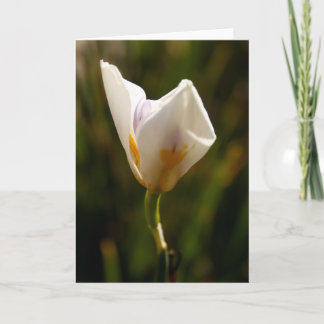 White Iris Flower Greeting Card