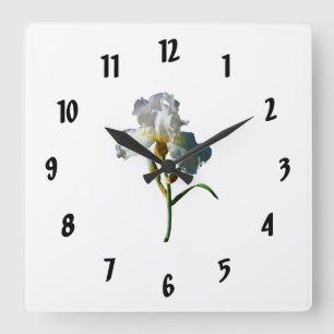 White Iris in Sunshine Square Wall Clock