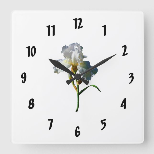 White Iris in Sunshine Square Wall Clock (Front)