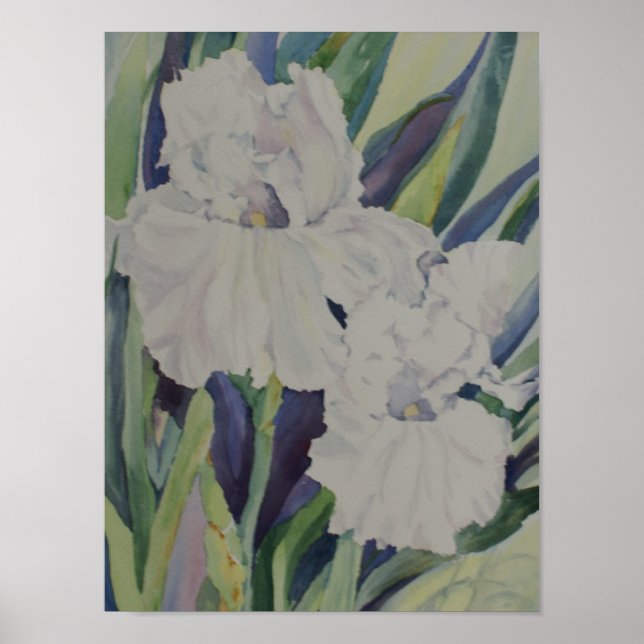 White Iris Poster (Front)