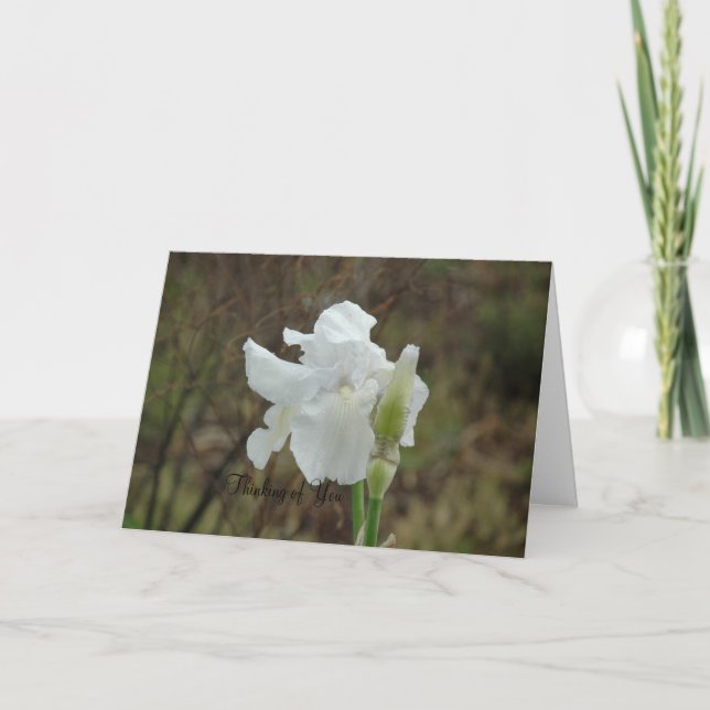 White Iris Sympathy Card (Front)