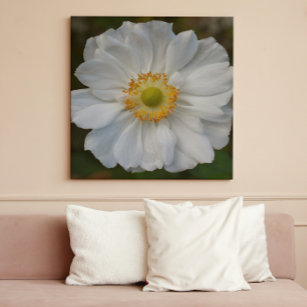 White Japanese Anemone Bloom Floral Canvas Print