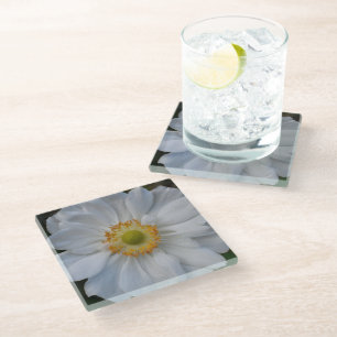 White Japanese Anemone Floral Glass Coaster
