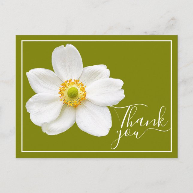 White Japanese Anemone Green Background Thank You Postcard (Front)