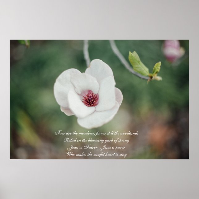 White Japanese Magnolia Flower with Old Hymn Poster (Front)