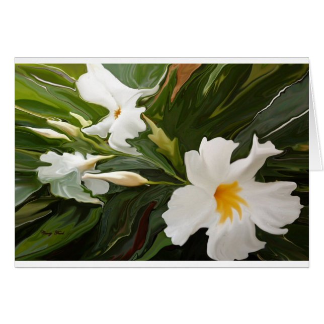 WHITE JASMINE BLANK CARD (Front Horizontal)