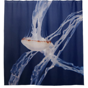 WHITE JELLY FISH