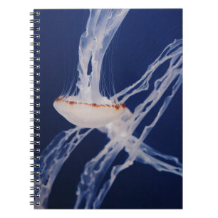 WHITE JELLY FISH NOTEBOOK