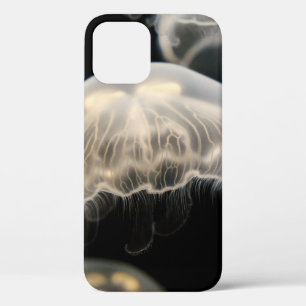 WHITE JELLYFISH iPhone 12 CASE
