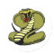 White King Cobra