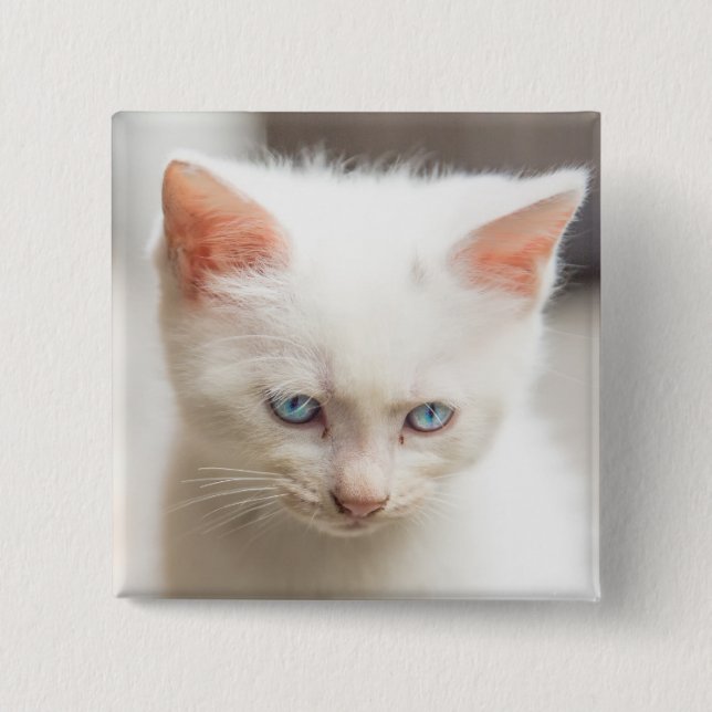 White Kitten 2 Inch Square Button (Front)