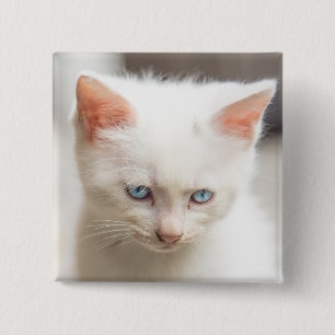 White Kitten 2 Inch Square Button