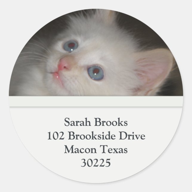 White Kitten Address Labels (Front)