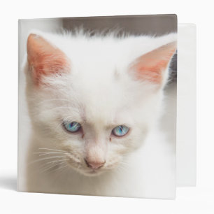 White Kitten Binder