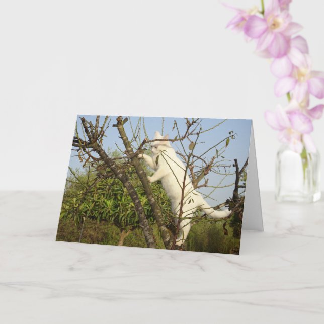 White Kitten in Almond Tree Card (Orchid)