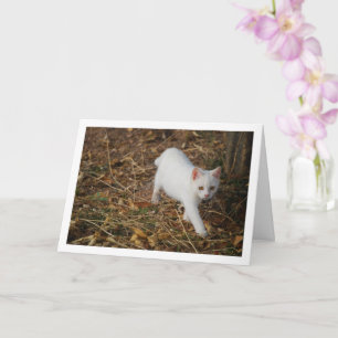 White Kitten in Forest Portrait Card