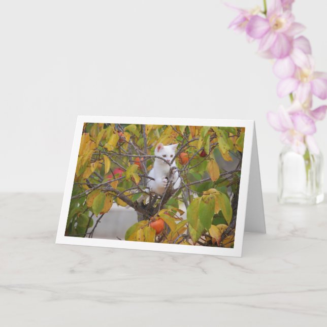 White Kitten in Persimmon Tree Card (Orchid)
