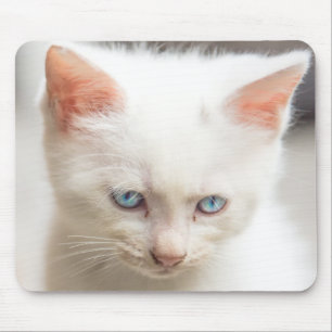 White Kitten Mouse Pad