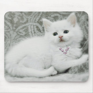 White Kitten Mouse Pad