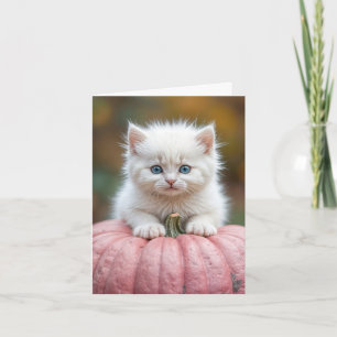 White Kitten On Pink Pumpkin Card