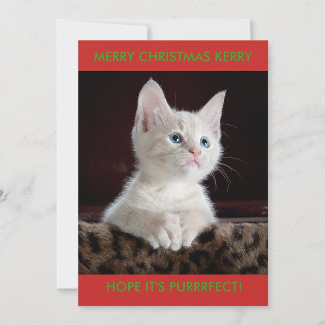 WHITE KITTEN PERSONALIZED HOLIDAY CARD (Front)