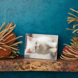 White Kitten Plaque