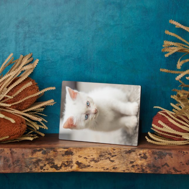 White Kitten Plaque (Side)