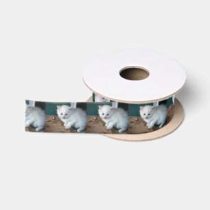 White Kitten Satin Ribbon
