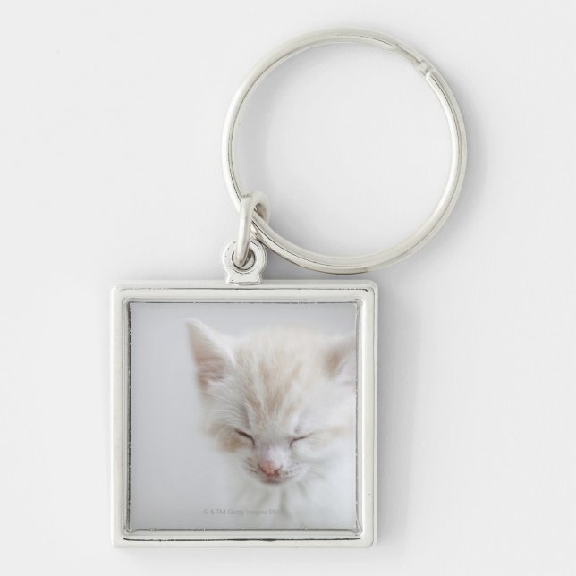 White Kitten Sleeping Keychain (Front)