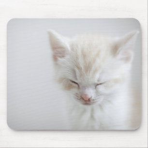 White Kitten Sleeping Mouse Pad